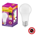 LED Antibakteriāla spuldze A60 E27/8,5W/230V 2700K - Osram