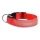LED Uzlādējama suņu kakla siksna 45-52 cm 1xCR2032/5V/40 mAh sarkana