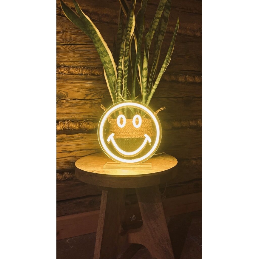 2Kids Toys - LED Neona galda rotājums LED/5W/USB smiley