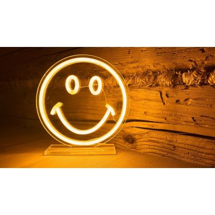 2Kids Toys - LED Neona galda rotājums LED/5W/USB smiley