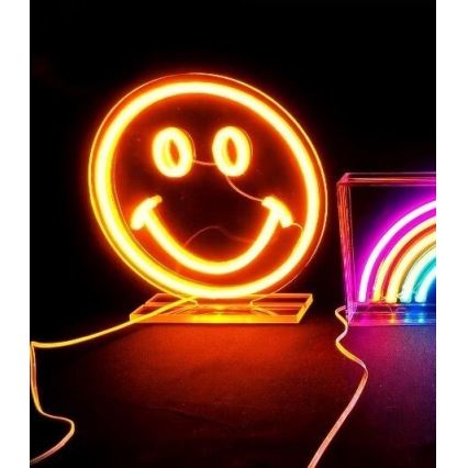 2Kids Toys - LED Neona galda rotājums LED/5W/USB smiley
