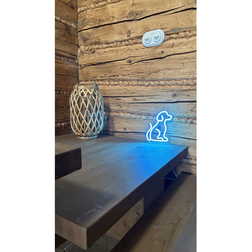 2Kids Toys - LED Neona galda rotājums LED/5W/USB suns