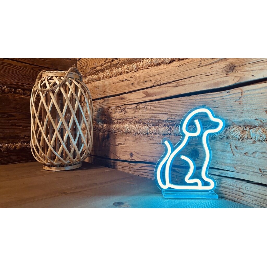 2Kids Toys - LED Neona galda rotājums LED/5W/USB suns
