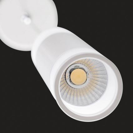 AEG - LED Aptumšojama lustra ar auklu ABBY LED/10W/230V