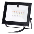 Aigostar - dimējams RGB LED prožektors LED/10W/230V IP65 + tālvadība