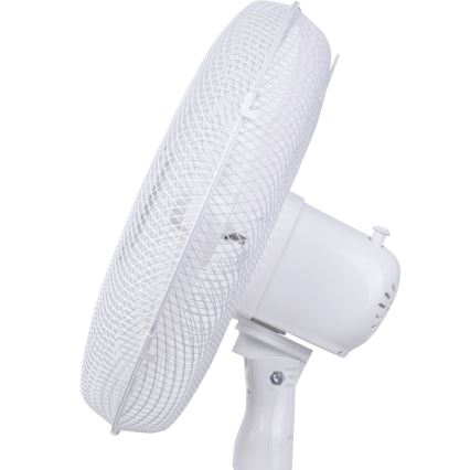 Aigostar - Grīdas ventilators 40W/230V 120 cm balta