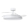 Aigostar - LED Aptumšojama griestu lampa ar ventilatoru MESH LED/50W/230V 2700-6500K melna + tālvadības pults