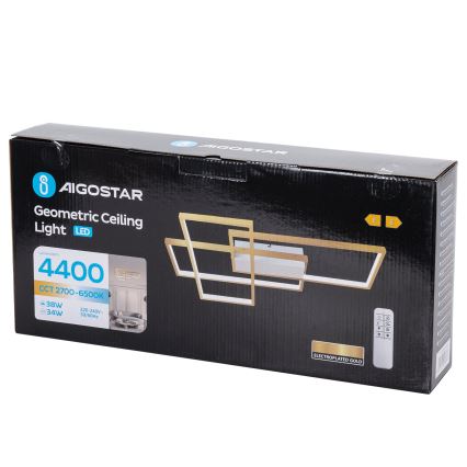 Aigostar - LED Aptumšojama griestu lampa LED/38W/230V 2700-6500K + tālvadības pults