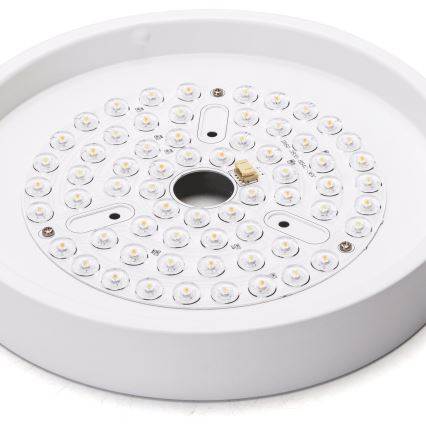 Aigostar - LED Aptumšojams griestu ventilators LED/24W/230V 2700-6500K d. 165 cm + tālvadības pults balta