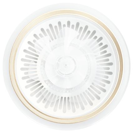 Aigostar - LED Aptumšojams griestu ventilators LED/40W/230V 2700/4000/6500K d. 50 cm + tālvadības pults balta