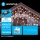 Aigostar - LED āra virtene 100xLED/8 režīmi 8x0,6m IP44 auksti balta