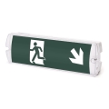 Aigostar - LED Avārijas gaismas lampa EMERGENCY EXIT LED/4W/230V IP65 6500K 600mAh