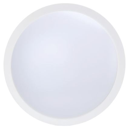 Aigostar - LED griestu ventilators ar regulējamu spilgtumu LED/50W/230V 2700-6500K Ø106cm balts + ar tālvadības pulti