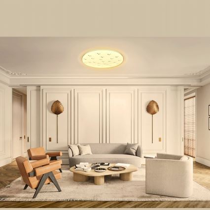 Aigostar - LED Griestu lampa LED/12W/230V 3000K d. 26cm