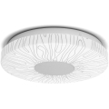 Aigostar - LED Griestu lampa LED/12W/230V 3000K d. 26cm