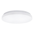 Aigostar - LED Griestu lampa LED/24W/230V 3000K