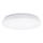 Aigostar - LED Griestu lampa LED/24W/230V 3000K