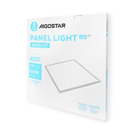 Aigostar - LED Iegremdējams panelis LED/40W/230V 6500K 60x60cm balta