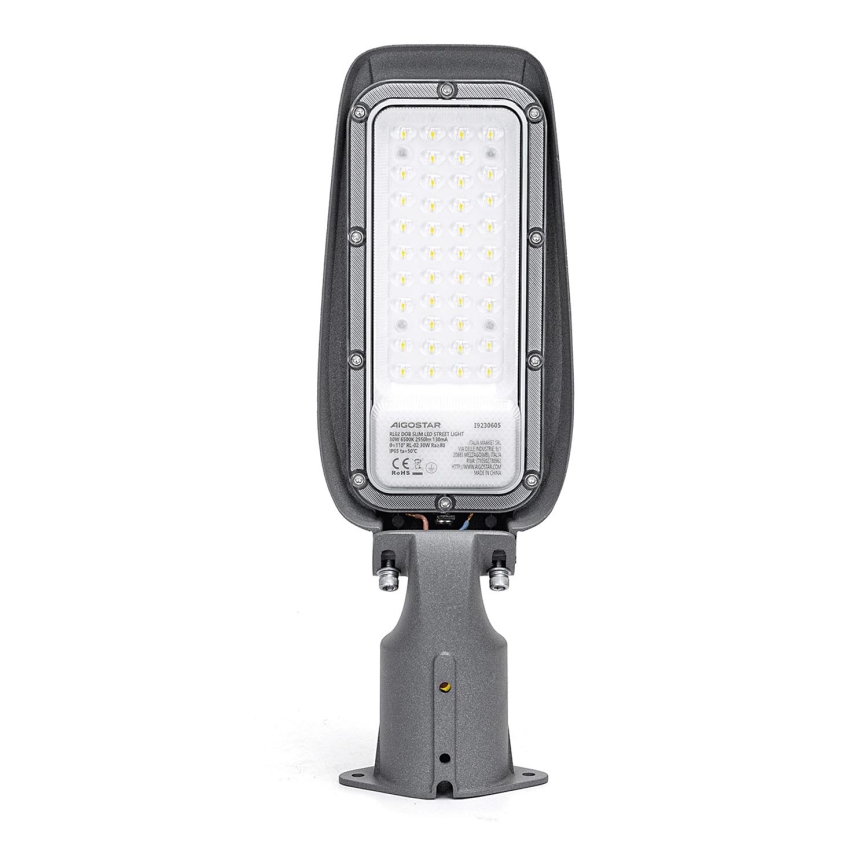 Aigostar - LED Ielas lampa LED/30W/230V 6500K IP65