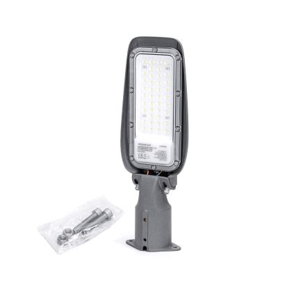 Aigostar - LED Ielas lampa LED/30W/230V 6500K IP65