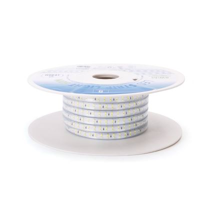 Aigostar - LED Josla LED/400W/230V 50m 6500K IP65