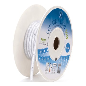 Aigostar - LED Lente LED/350W/230V 50m zils IP65
