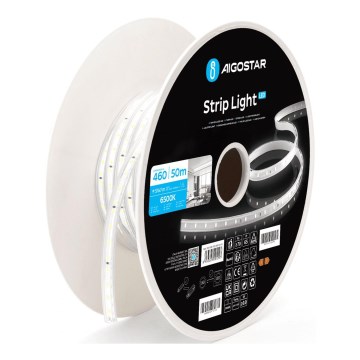 Aigostar - LED Lentes LED/250W/230V 50m 6500K IP65