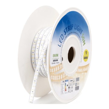 Aigostar - LED Lentes LED/400W/230V 50m 3000K IP65