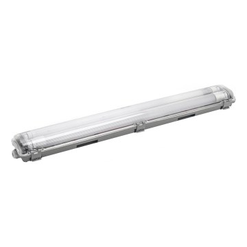 Aigostar - LED Lielas slodzes dienasgaismas lampa 2xG13/9W/230V 4000K 66,6 cm IP65