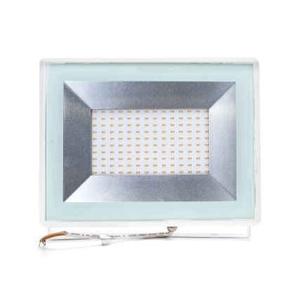 Aigostar - LED Prožektors LED/100W/230V IP65 balts