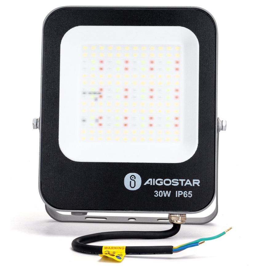 Aigostar - LED RGBW Prožektors MESH MESH LED/30W/230V 6500K IP65 + tālvadības pults
