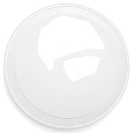 Aigostar - LED RGBW Vannas istabas griestu lampa MESH LED/24W/230V 3000-6500K IP44 + tālvadības pults