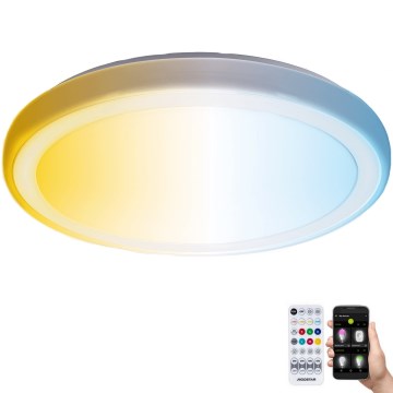 Aigostar - LED Vannas istabas griestu lampa MESH LED/24W/230V 3000-6500K IP44 + tālvadības pults