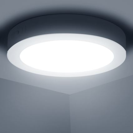 Aigostar - LED Virsapmetuma griestu lampa LED/12W/230V d. 17,4 cm 6500K balta