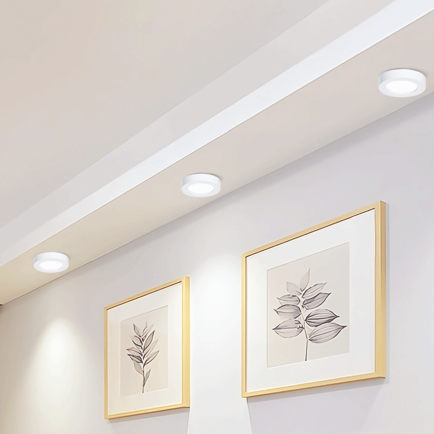 Aigostar - LED Virsapmetuma griestu lampa LED/12W/230V d. 17,4 cm 6500K balta