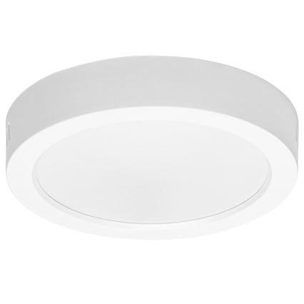 Aigostar - LED Virsapmetuma griestu lampa LED/12W/230V d. 17,4 cm 6500K balta