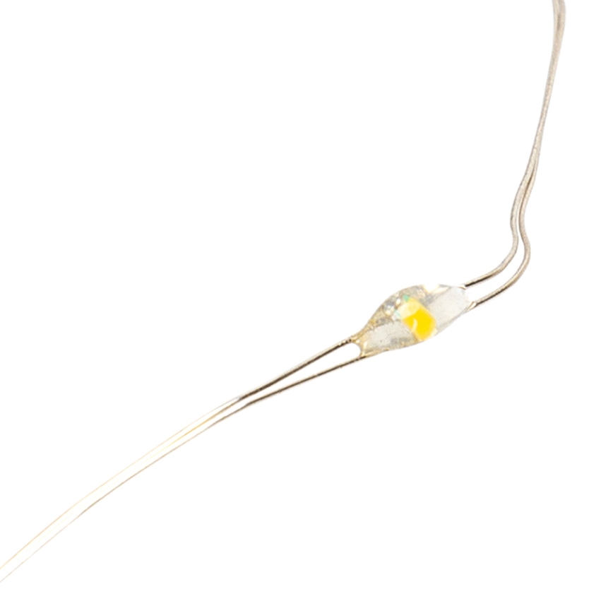 Aigostar - LED virtene 20xLED/2x3V 2m silti balta
