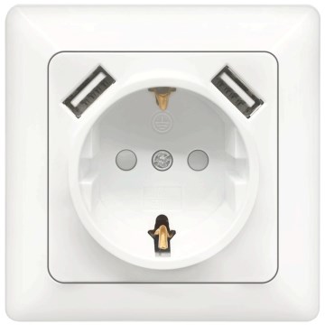 Aigostar - SCHUKO mājas kontaktligzda 250V + 2x USB ar rāmi balta
