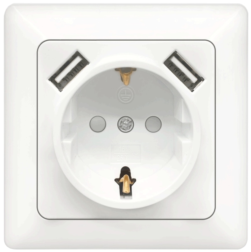 Aigostar - SCHUKO mājas kontaktligzda 250V + 2x USB ar rāmi balta
