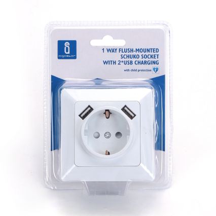 Aigostar - SCHUKO mājas kontaktligzda 250V + 2x USB ar rāmi balta
