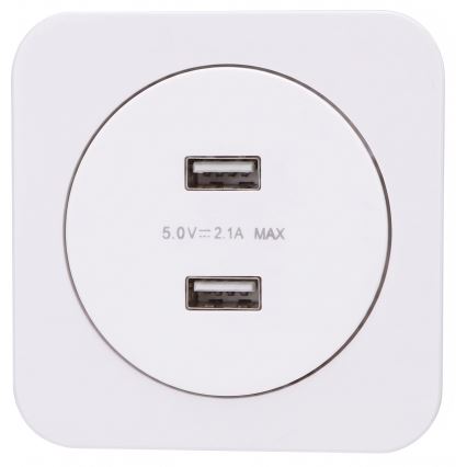 Aigostar - USB barošanas kontaktligzda ar rāmi 2x USB-A balta