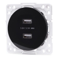 Aigostar - USB strāvas rozete bez rāmja, 2x USB-A, melna
