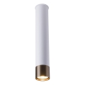 Amplex - Virziena gaismeklis 1xGU10/10W/230V balts/zelts