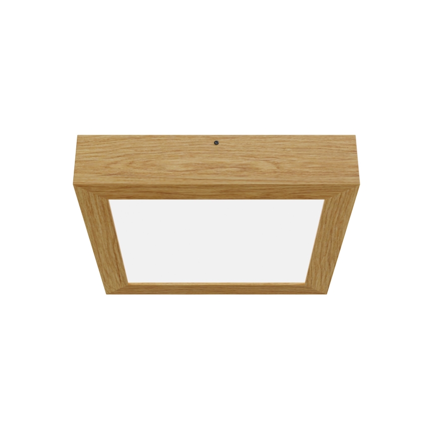 APLED - LED Griestu gaismeklis QUADRA LED/24W/230V ozolkoks