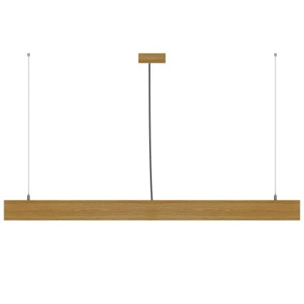 APLED - LED Lustra ar auklu LOOK LED/36W/230V 4000K 120 cm ozolkoks