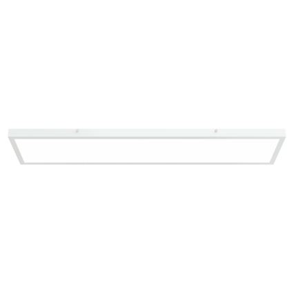 APLED - LED Virsapmetuma panelis LONG LED/40W/230V 4000K 120x30cm IP41 balts