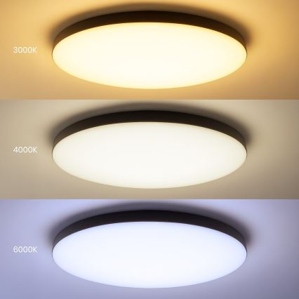 LED regulējama griestu lampa SIENA LED/80W/230V 3000-6000K Ø 75 cm melna + ar tālvadības pulti