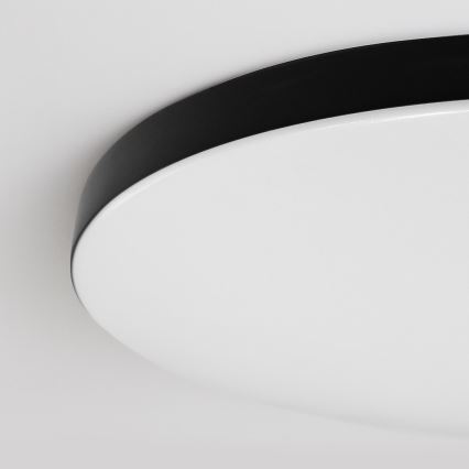 LED regulējama griestu lampa SIENA LED/80W/230V 3000-6000K Ø 75 cm melna + ar tālvadības pulti