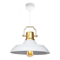 Apturēšanas lampa AYD 1xE27/40W/230V balta/zelta
