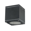 Āra griestu gaismeklis QUAZAR 1xGU10/20W/230V IP44